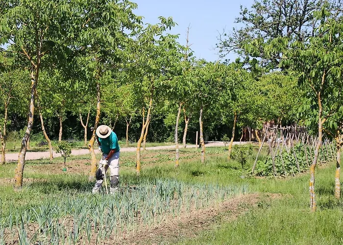 Borgo Santo Pietro 5* キウズディーノ